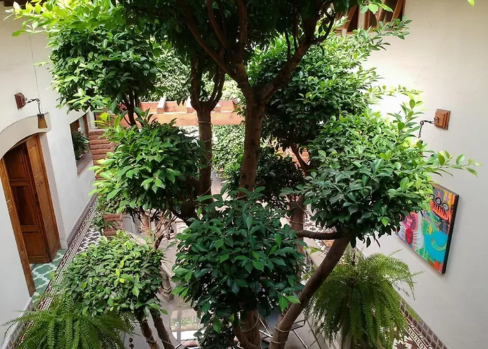 Meztli: Casa Boutique & 4* México DF