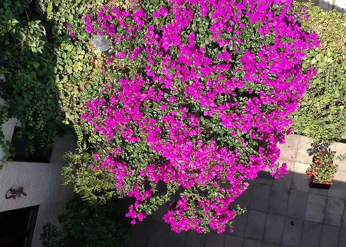 Meztli: Casa Boutique & 4* México DF