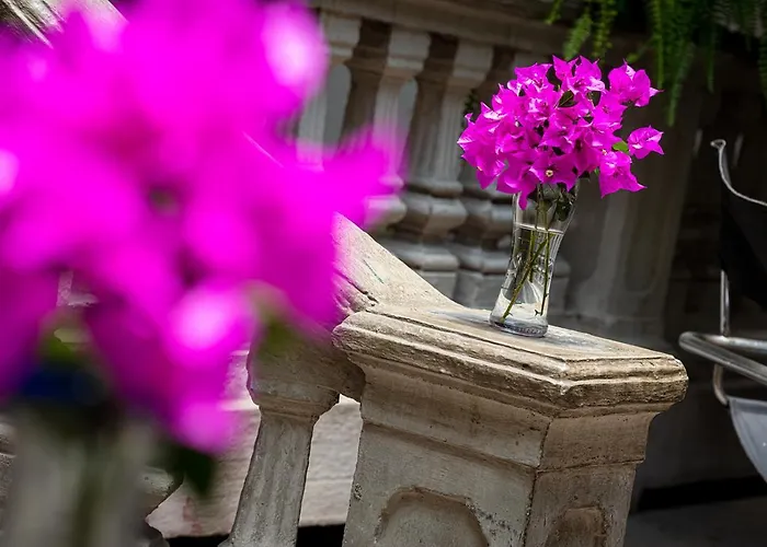 Hotel Meztli: Casa Boutique &