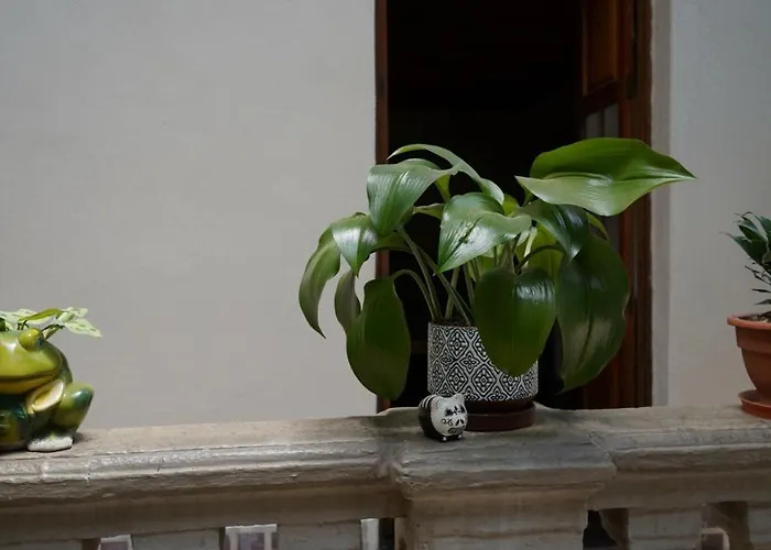 Meztli: Casa Boutique &